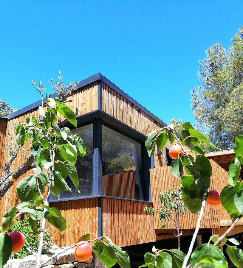 Villa Occitana Calvisson Exteriör bild